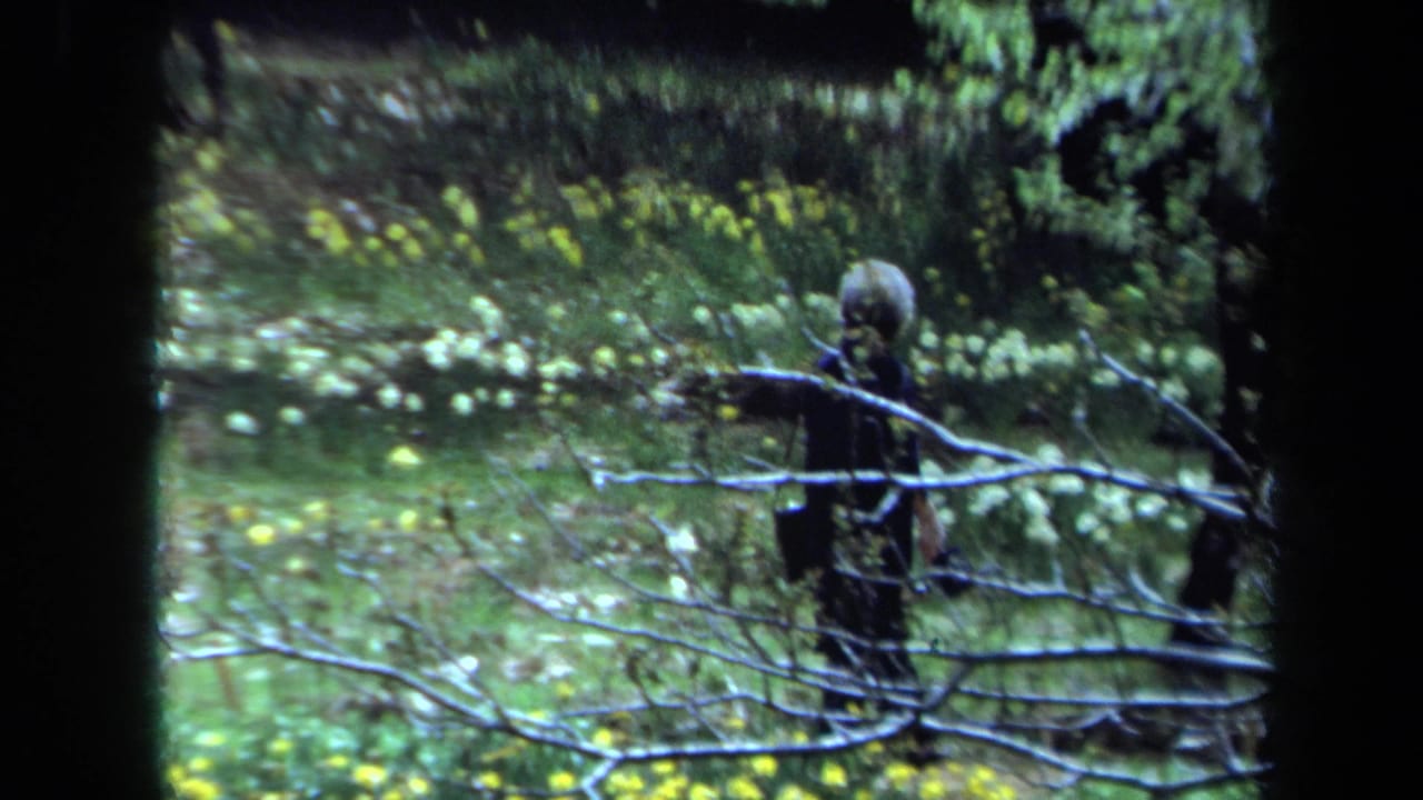 In a 1971 Maine 8mm frame, a person in dark clothing walks through grass and flowers behind bare branches.