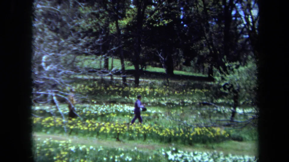 A distant person walks across a green Maine park lawn in 1971, framed by trees, flowers, and bare branches.