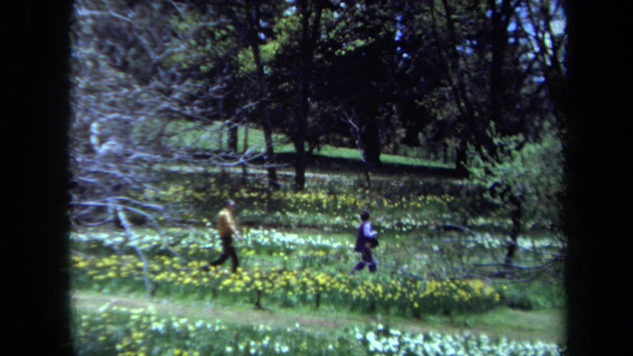 Two people walk through a flowered meadow framed by trees and dark foreground trunks.