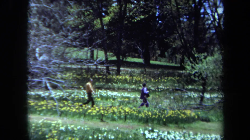 In 1971 Maine home-movie footage, two people walk across a meadow with yellow and white wildflowers under trees.