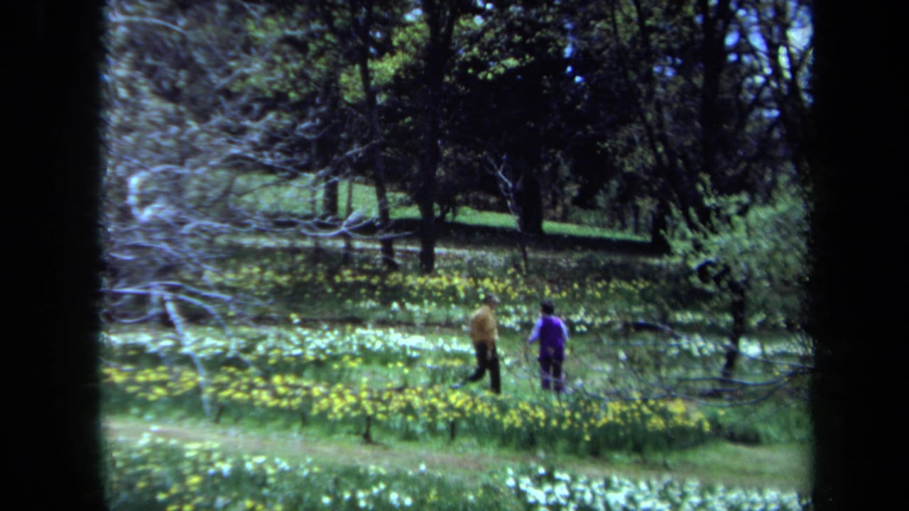 Two people in yellow and purple walk near wildflowers with trees behind them.