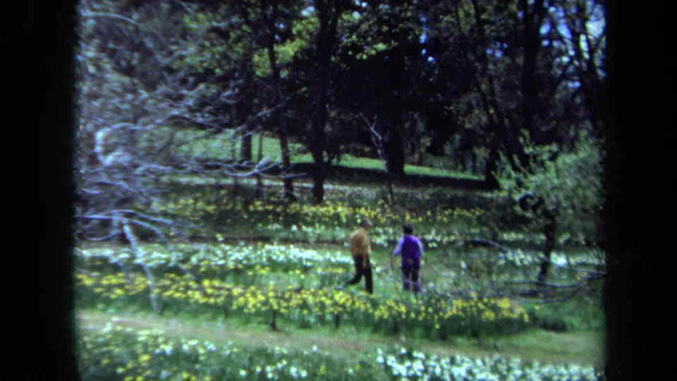 Two people walk through a sunlit Maine meadow in 1971, surrounded by wildflowers, branches, and dense trees.