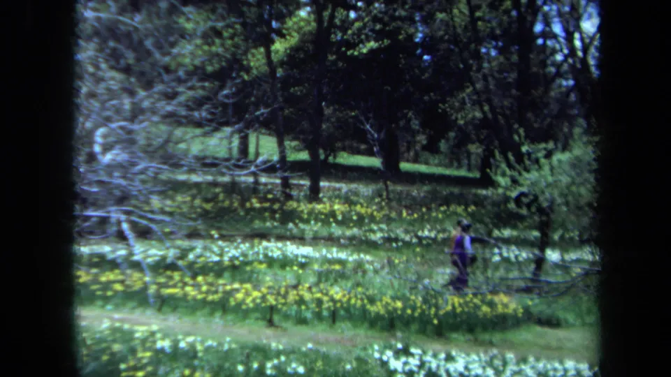 A person in purple clothing walks at the edge of a wildflower meadow in 1971 Maine home-movie footage.