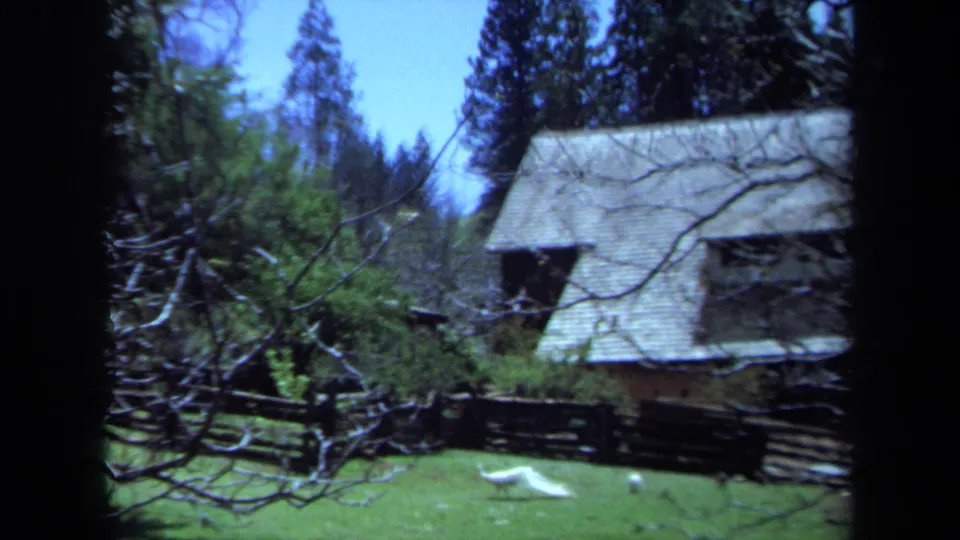 1971 Maine 8mm frame showing a white peacock in a grassy enclosure, with bare branches, wooden fencing, trees, and a rustic building behind it.