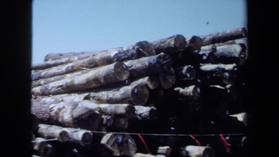 1971 Maine 8mm frame showing a large pile of cut logs in a lumber yard, with industrial structures partly visible nearby.