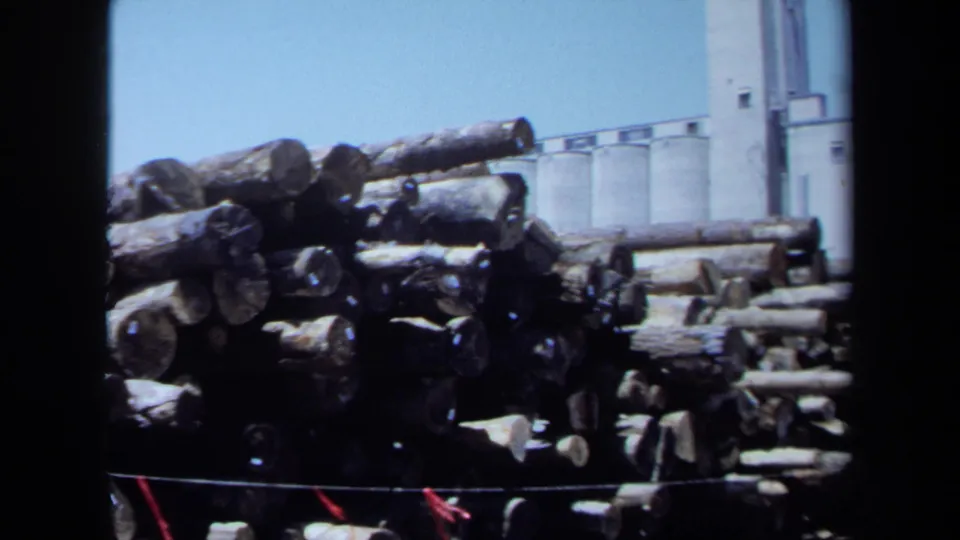 1971 Maine home-movie frame showing stacked logs near pale industrial buildings or silos, with film borders and bright daylight.