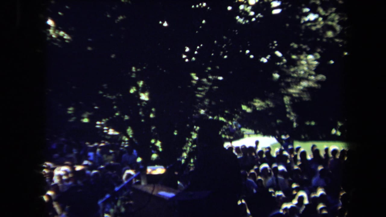 Dark nighttime outdoor crowd under trees with blue stage light and silhouettes.