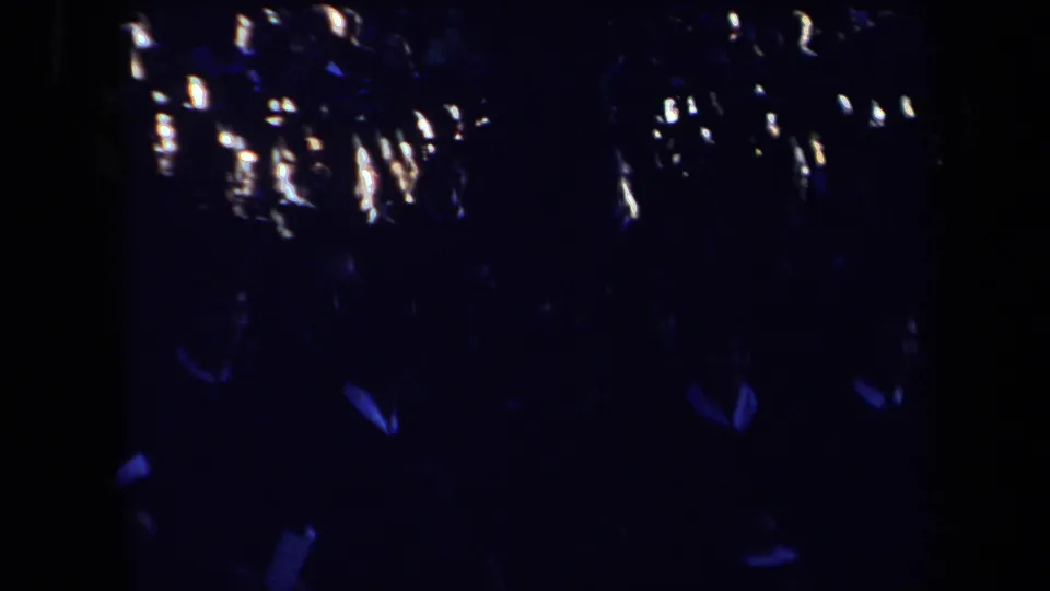 Low-light 1971 concert footage shows a dark mass of audience figures with scattered highlights and blue stage-light streaks.