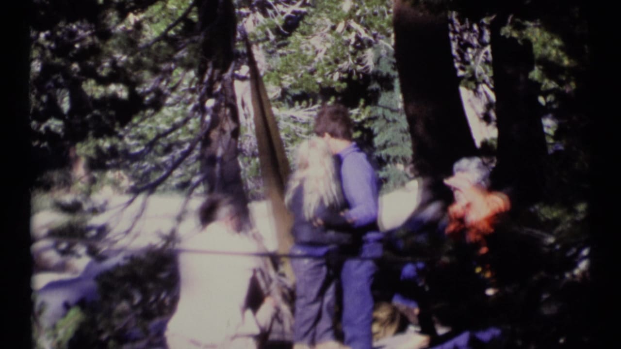 1973 Scapegoat Wilderness home-movie frame showing adults among conifers, including a couple standing close together.