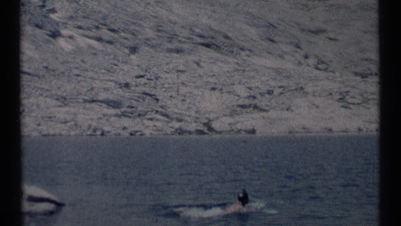 Distant swimmer in a calm lake with a rocky hillside beyond the shore.