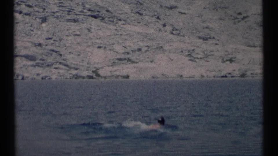 A distant swimmer in the Montana wilderness lake appears partly submerged, with soft 8mm grain and a rocky shore behind.