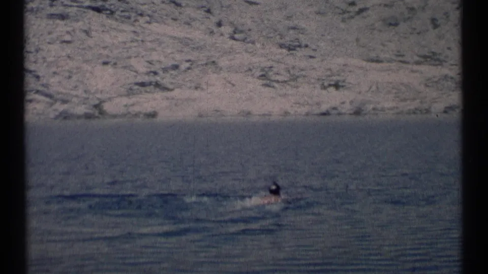 A grainy 8mm view of a swimmer low in the frame, moving through a calm lake at Scapegoat Wilderness in 1973.
