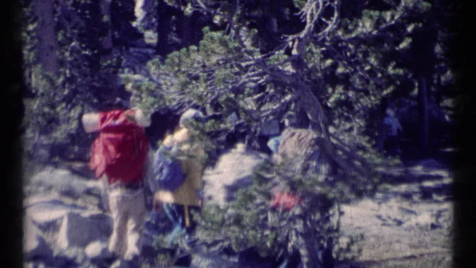 1973 8mm frame of backpacked hikers moving through a dense forest trail in Scapegoat Wilderness, Montana.