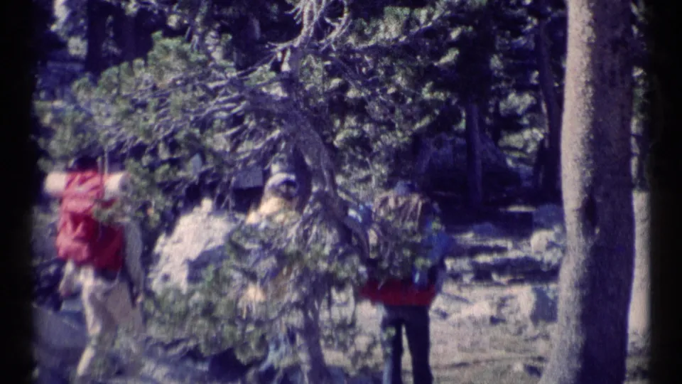 Backpackers pass through evergreen forest on a rocky Montana wilderness trail, filmed in soft 8mm color.