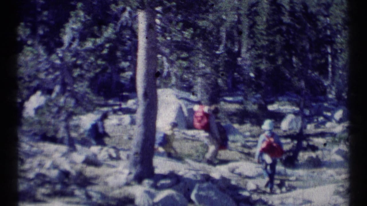 Hikers with backpacks walk through a rocky pine forest trail.