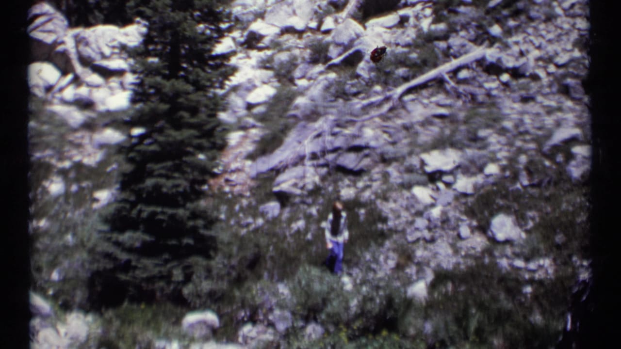 A hiker stands below a rocky slope near dense brush and a conifer.