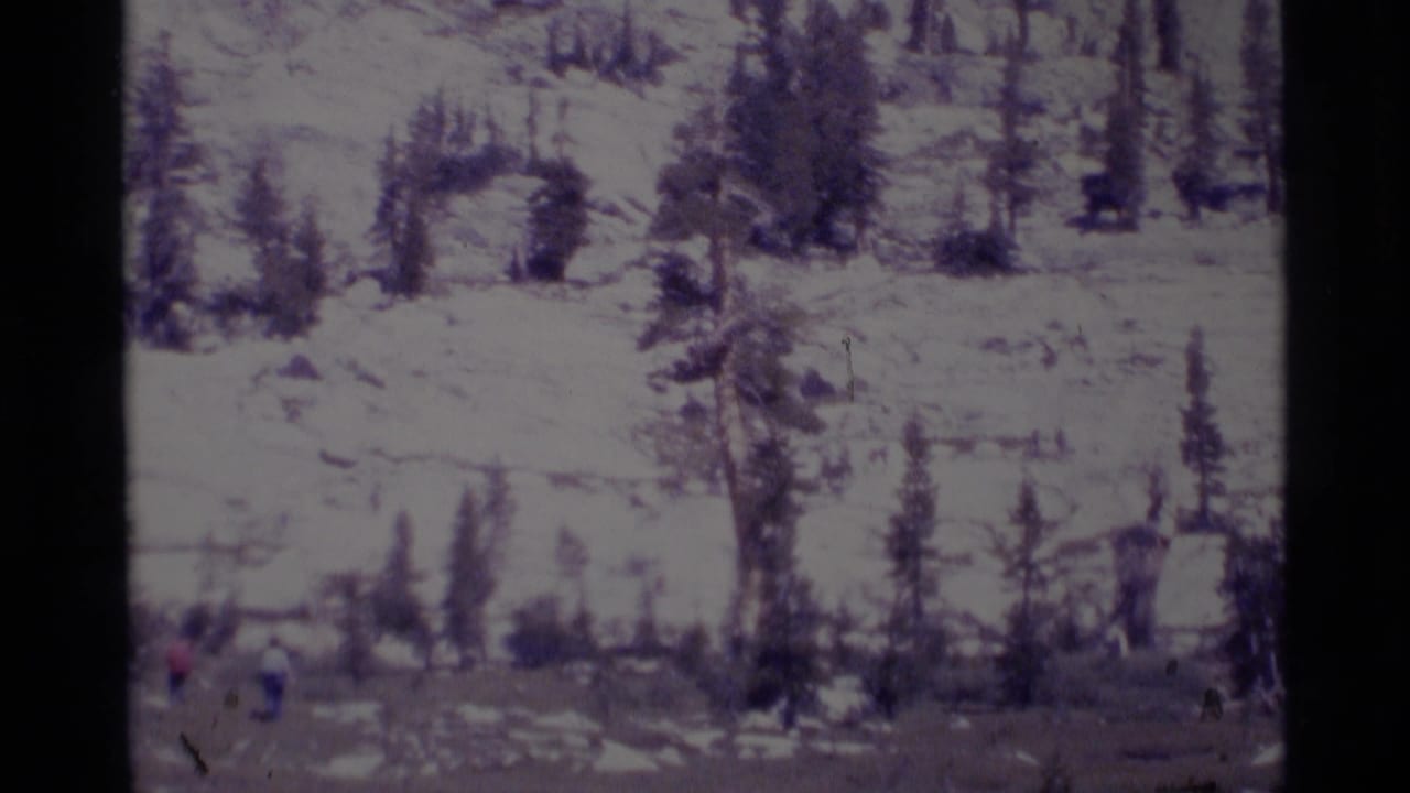 Distant hikers move across rocky mountain terrain among scattered pine trees.