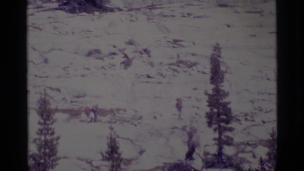 Distant backpacked hikers cross a pale rocky mountain slope with conifer trees nearby.