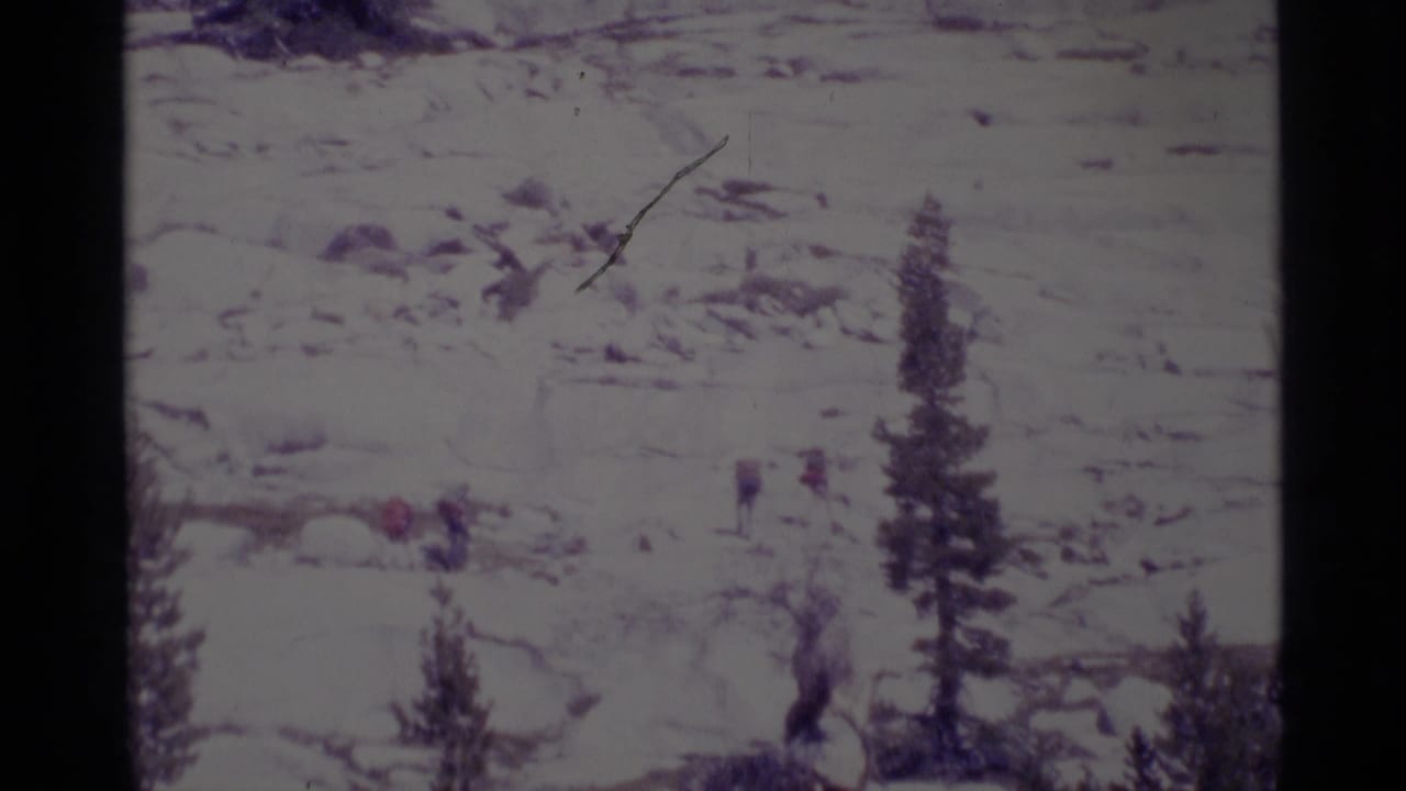 Distant hikers traverse pale rocky ground in the Minaret Wilderness, framed by a prominent conifer and 8mm film borders.