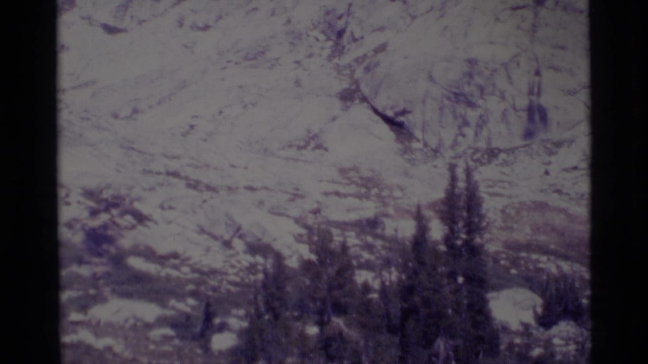 Snowy alpine terrain and conifer silhouettes appear in a soft 8mm frame from the supplied 1975 California wilderness clip.