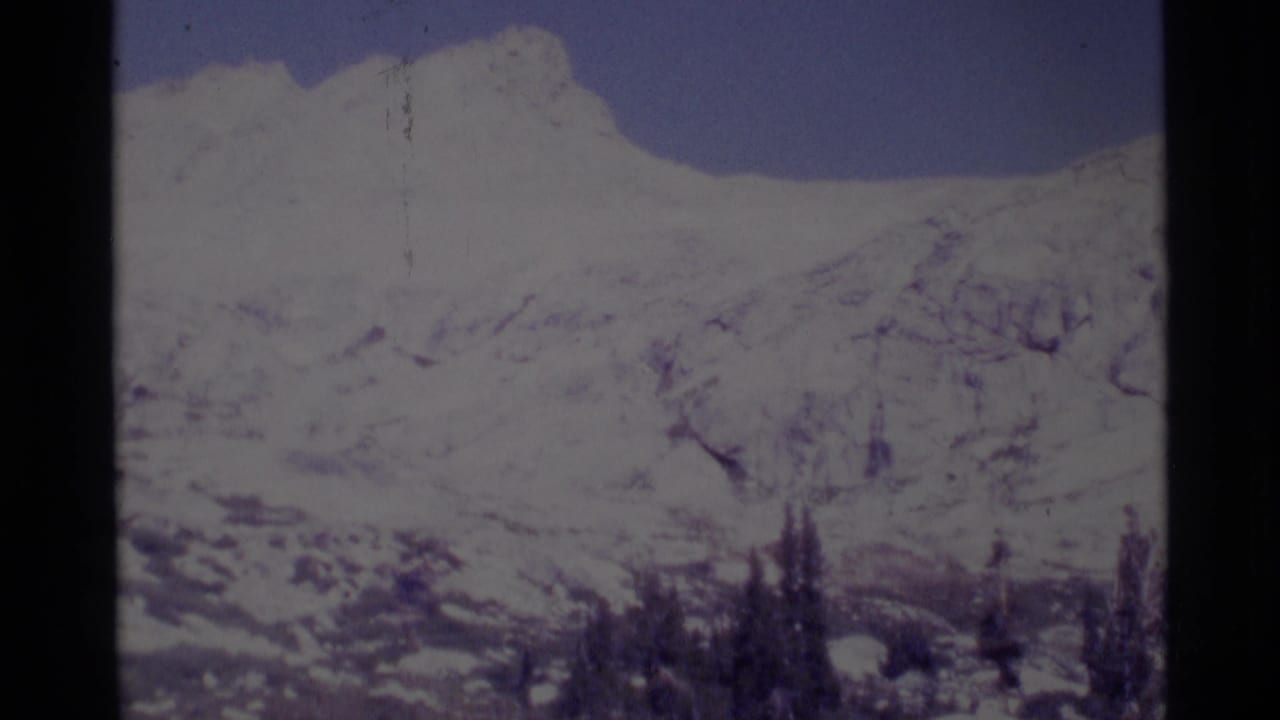 Snow-covered mountain ridge beneath blue sky with dark trees at the lower edge.