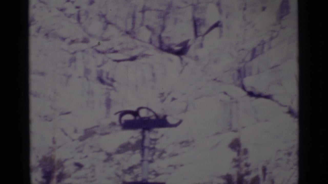 Soft 1975 8mm frame from Minaret Wilderness showing a rocky, overexposed trail or stream area with a dark object near the lower center.