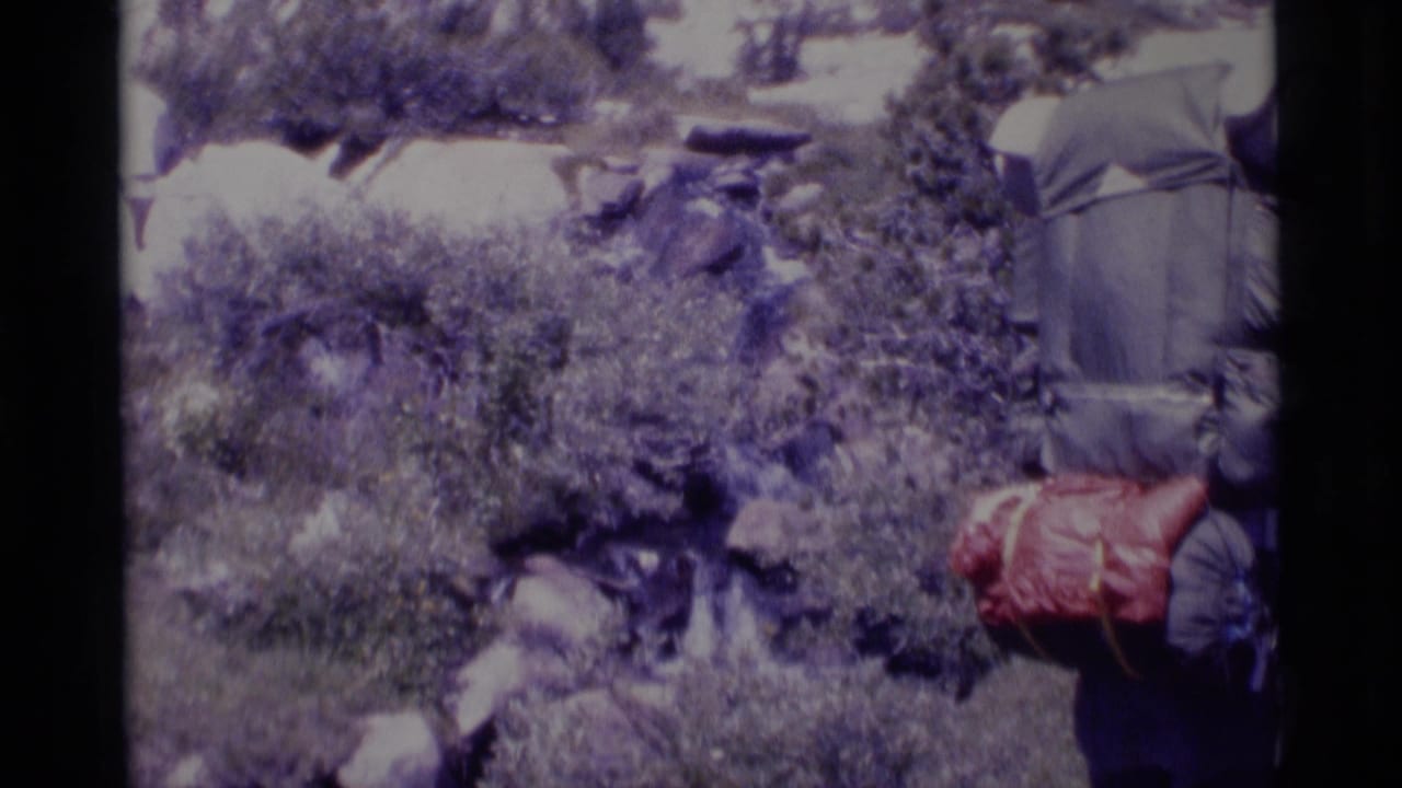 Hiker seen from behind with a red backpack beside shrubs, rocks, and a small stream area.