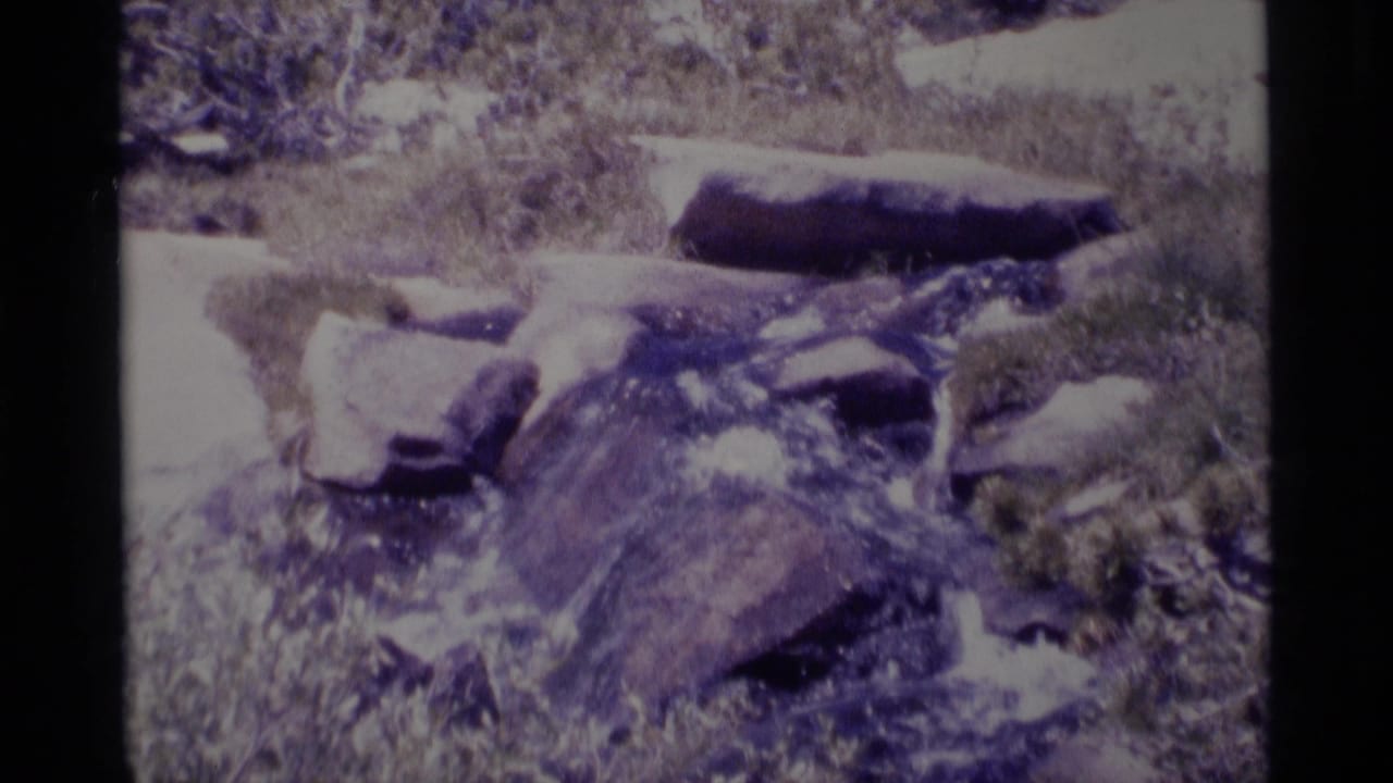 1975 8mm Minaret Wilderness footage showing a small rocky brook with water moving through mossy or grassy edges.
