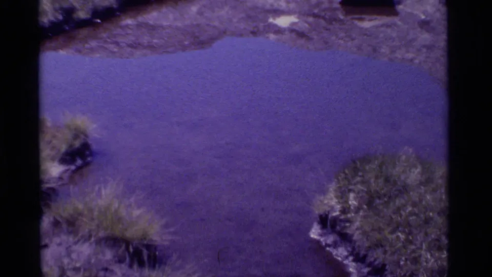 1975 8mm frame from Minaret Wilderness showing purple pond water, a grassy bank, shoreline rocks, and dark scan borders.