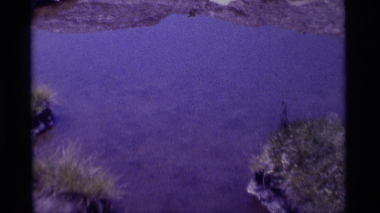 1975 8mm home-movie frame from Minaret Wilderness showing purple-shifted pond water, grassy edges, and tiny tadpoles in the shallows.
