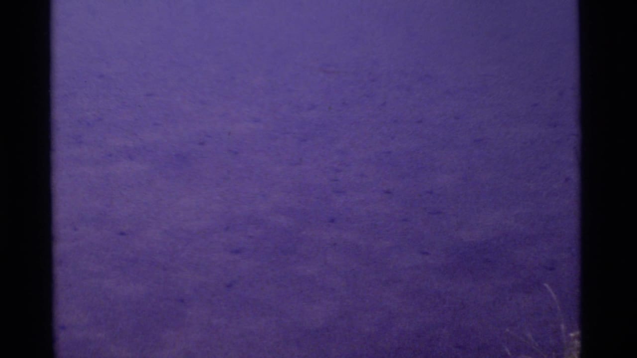 1975 Minaret Wilderness 8mm frame with mostly still, purple-shifted pond water and faint tadpoles visible below the surface.