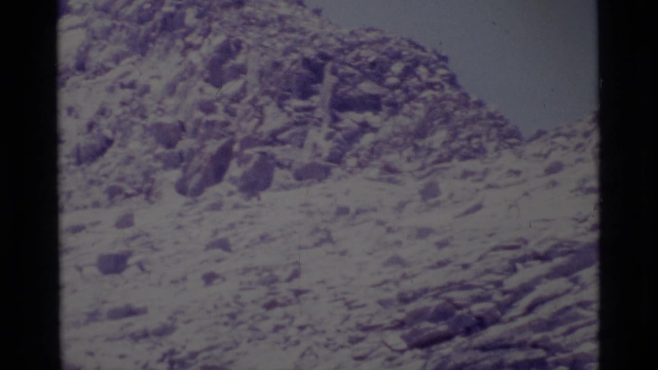 Snowy rocky mountain slope seen from below with a pale sky above.