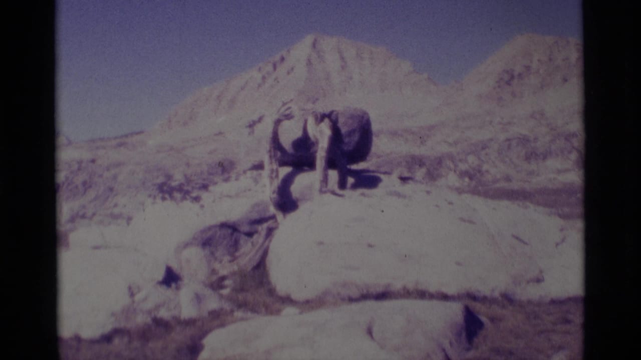 Abstract sculpture on a pale rock with mountains behind it.