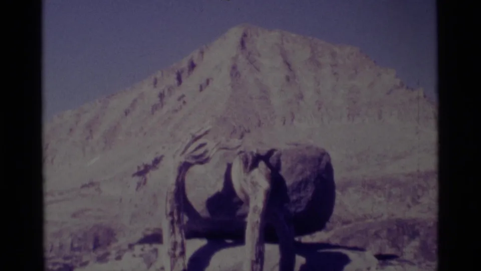1975 Minaret Wilderness home-movie frame with a rough wooden foreground object and a faded mountain backdrop.