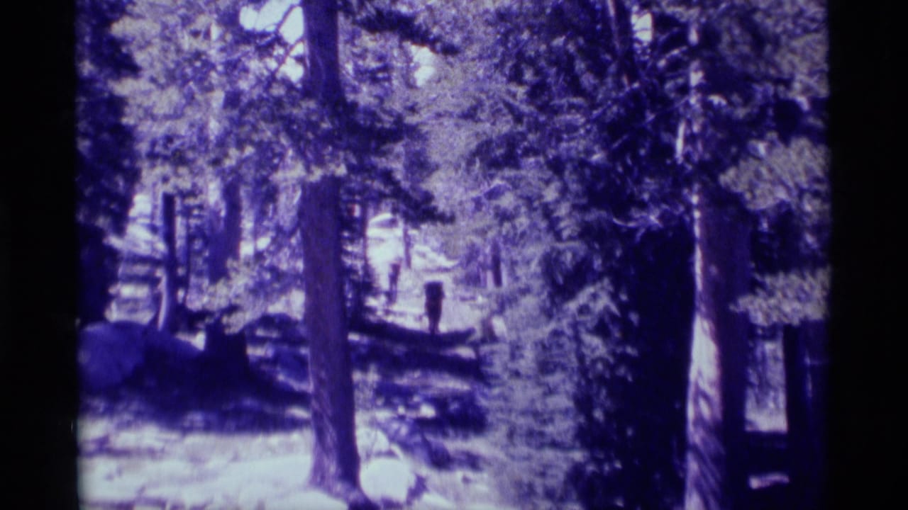 Two distant hikers move along a wooded trail in Minaret Wilderness, California, in 1975 8mm home-movie footage.