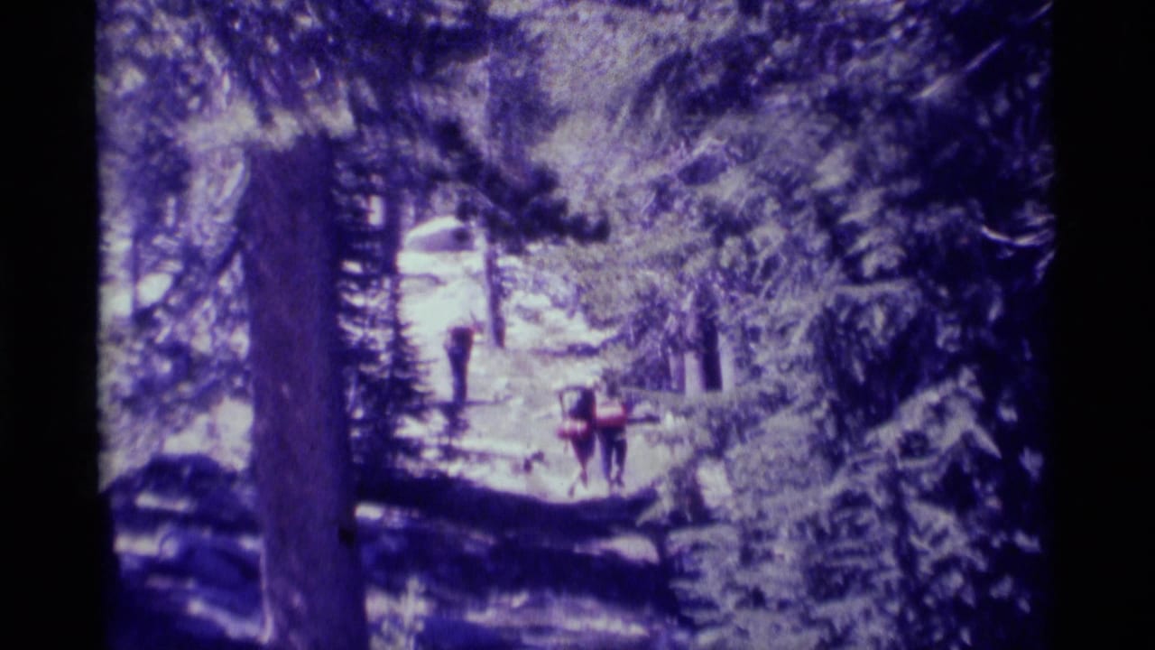 Backpackers continue along a rocky trail framed by dense trees.