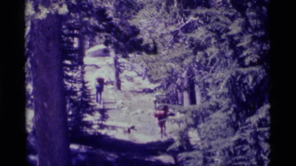 Two hikers carrying packs pass through a sunlit section of forest trail in the California wilderness footage.