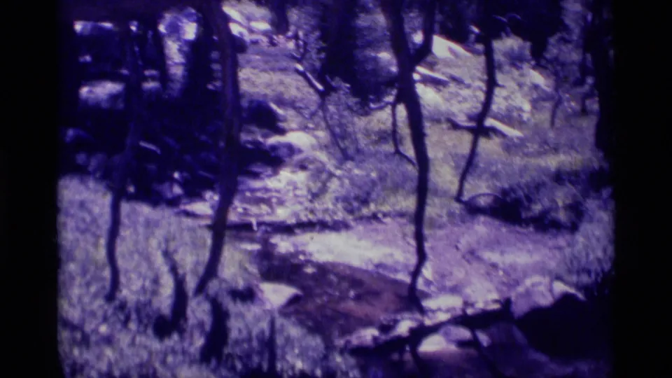 The final frame looks across a shaded forest floor with rocks, trees, and a possible small stream crossing.