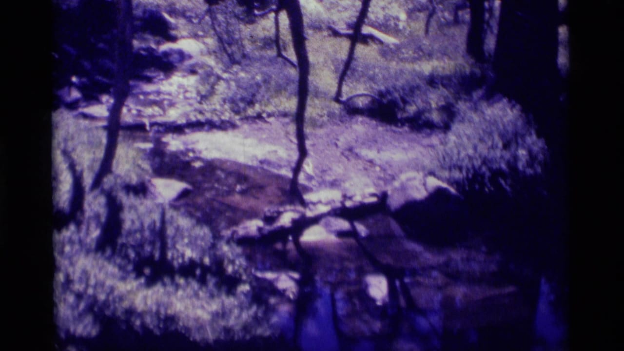 1975 8mm Minaret Wilderness view of snow-dusted forest terrain, rocks, bare trunks, and shadowed ground.
