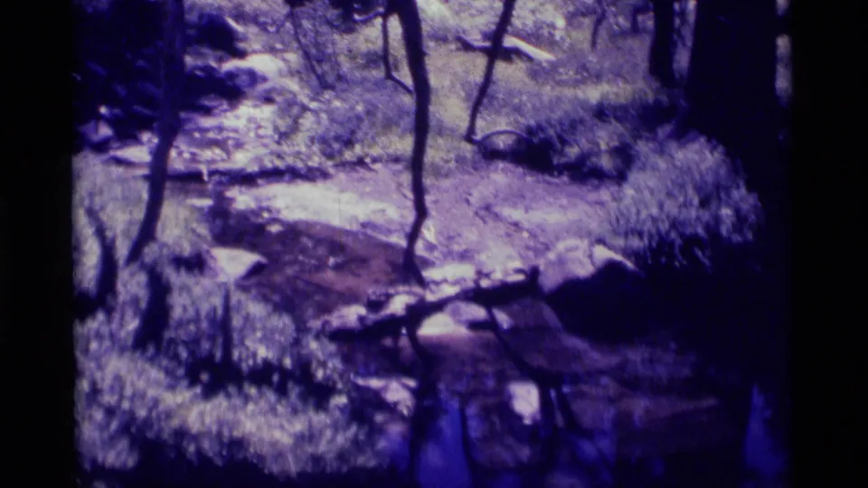 1975 8mm Minaret Wilderness view of snow-dusted forest terrain, rocks, bare trunks, and shadowed ground.