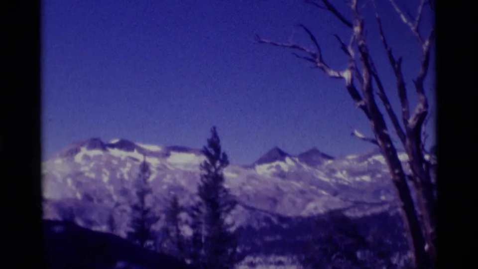 1975 8mm view of snow-covered mountains in Minaret Wilderness, California, framed by evergreens and a bare foreground tree.