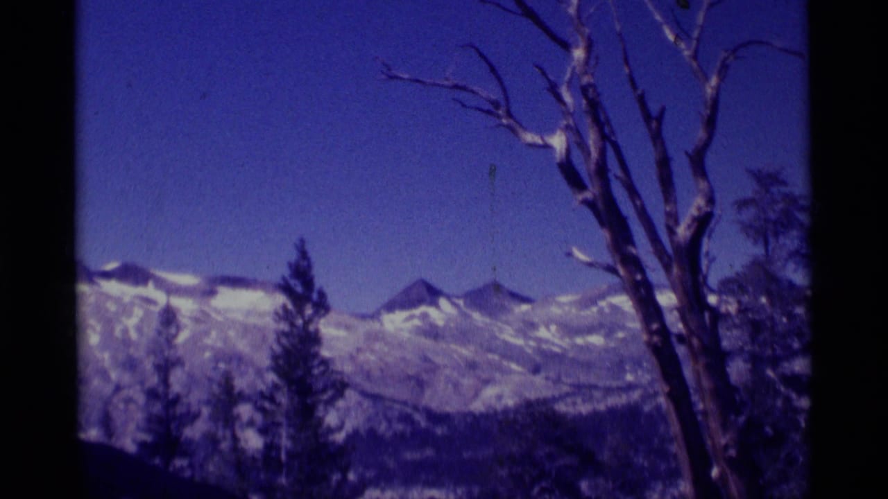 Snow-dusted mountain peaks with dark evergreens and a leafless tree at the right edge.
