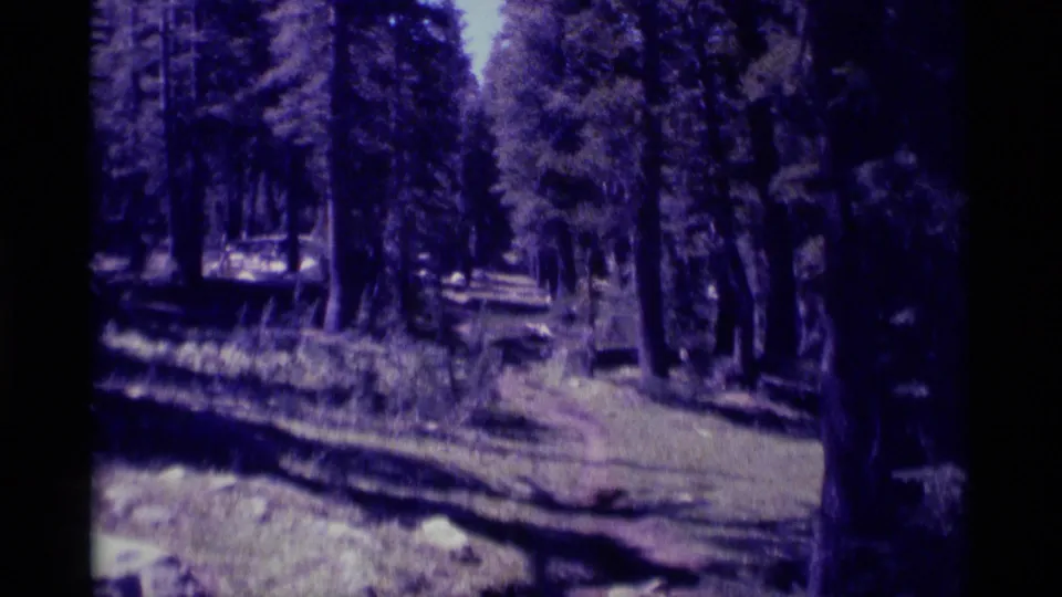 Handheld 8mm view of a narrow forest trail in Minaret Wilderness, passing through tall conifers and broken sunlight.