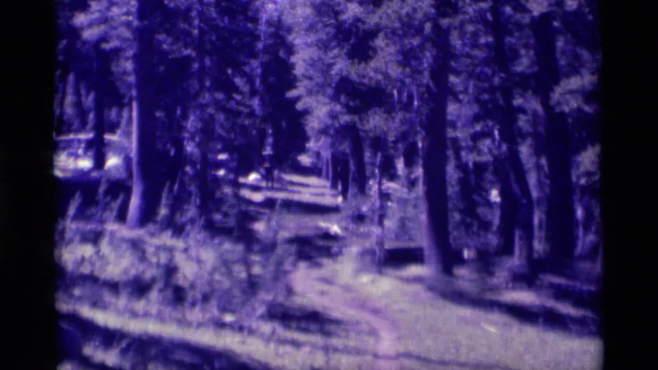 1975 8mm trail view through a California mountain forest, with conifers, grass, and soft purple-blue film color.