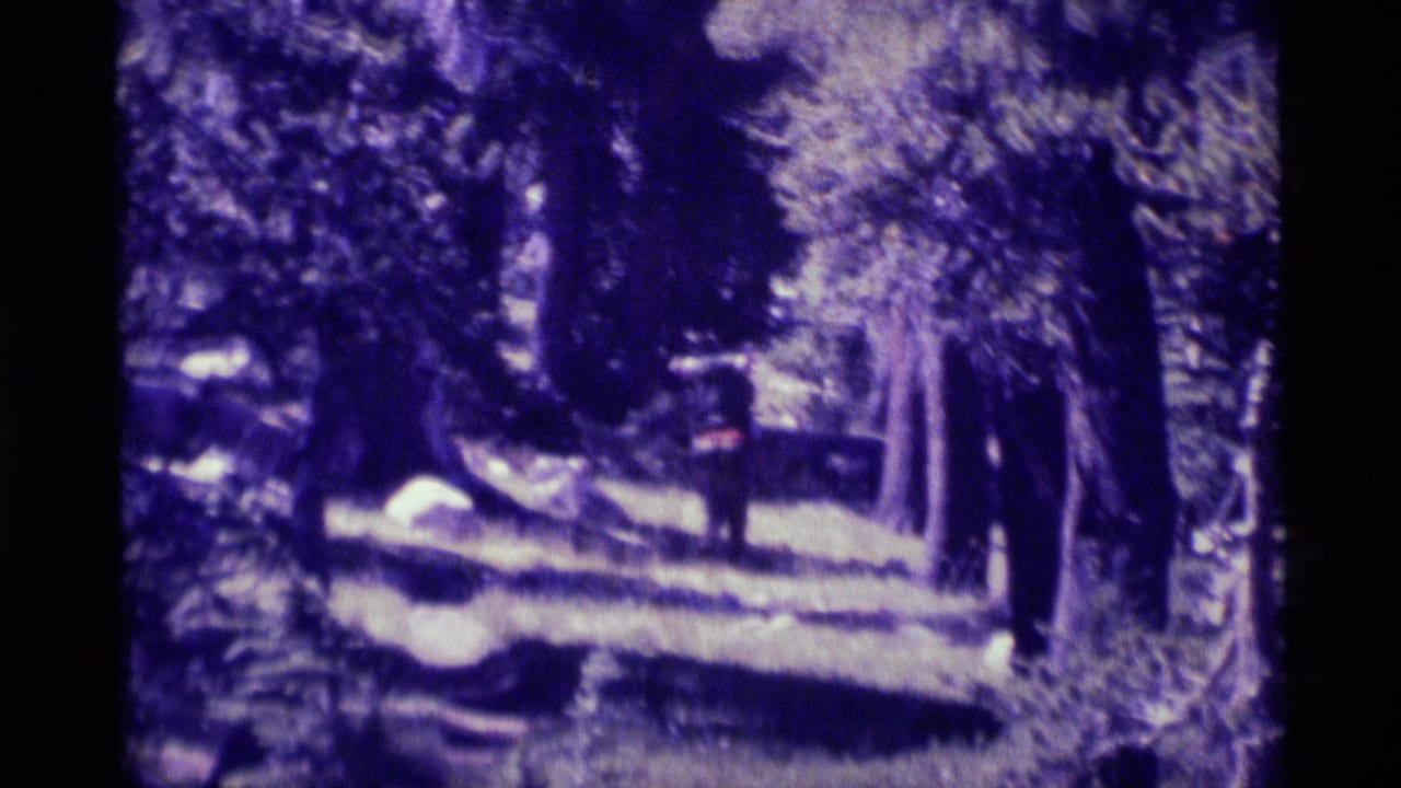 A distant figure continues through the trees on a forest path in the California wilderness footage.