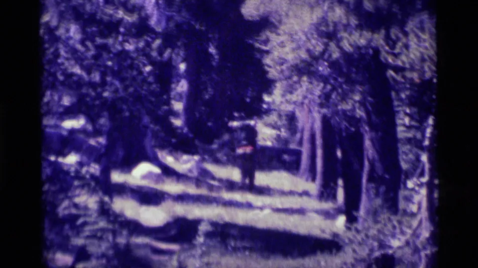 A distant figure continues through the trees on a forest path in the California wilderness footage.