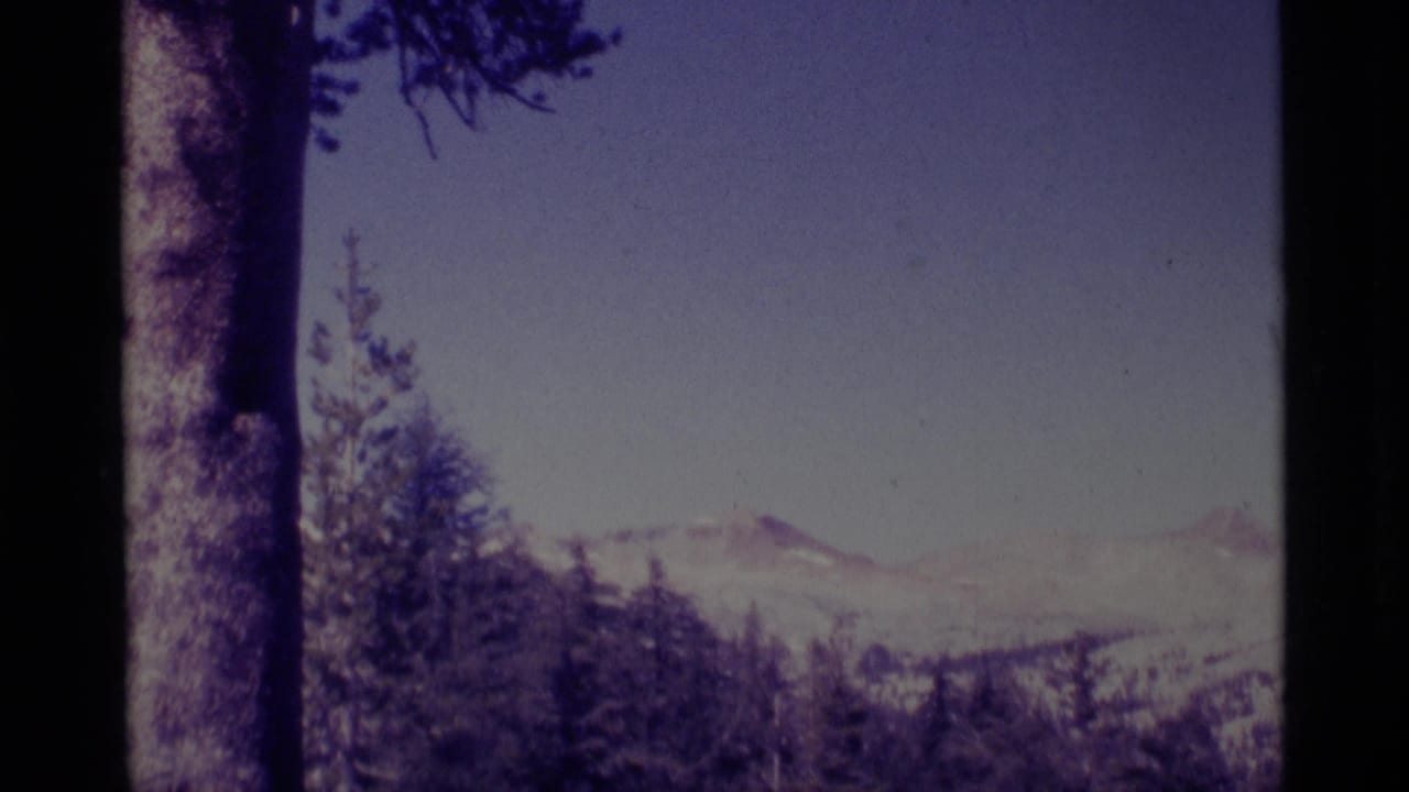 1975 8mm view of Minaret Wilderness mountains framed by pine trees, with pale sky and soft purple film color.