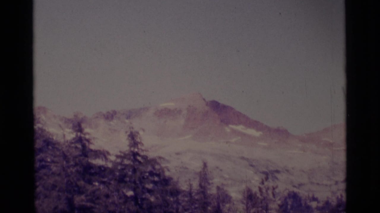 1975 8mm view of a mountain summit in the Minaret Wilderness area, seen beyond dark forest with a faded purple film cast.
