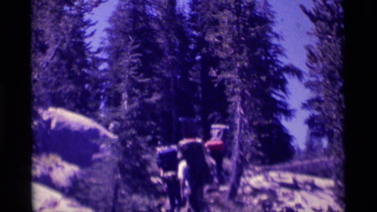 Backpackers move away from the camera on a rocky California wilderness trail with conifers around them.