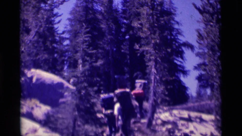 Backpackers move away from the camera on a rocky California wilderness trail with conifers around them.
